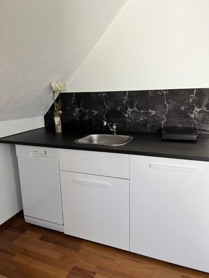 Lifestyle Apartment Σίνσχαϊμ Εξωτερικό φωτογραφία